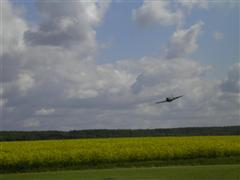 PICT1841.JPG